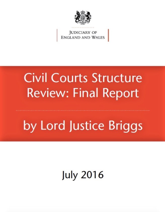 Briggs report 2016 cover